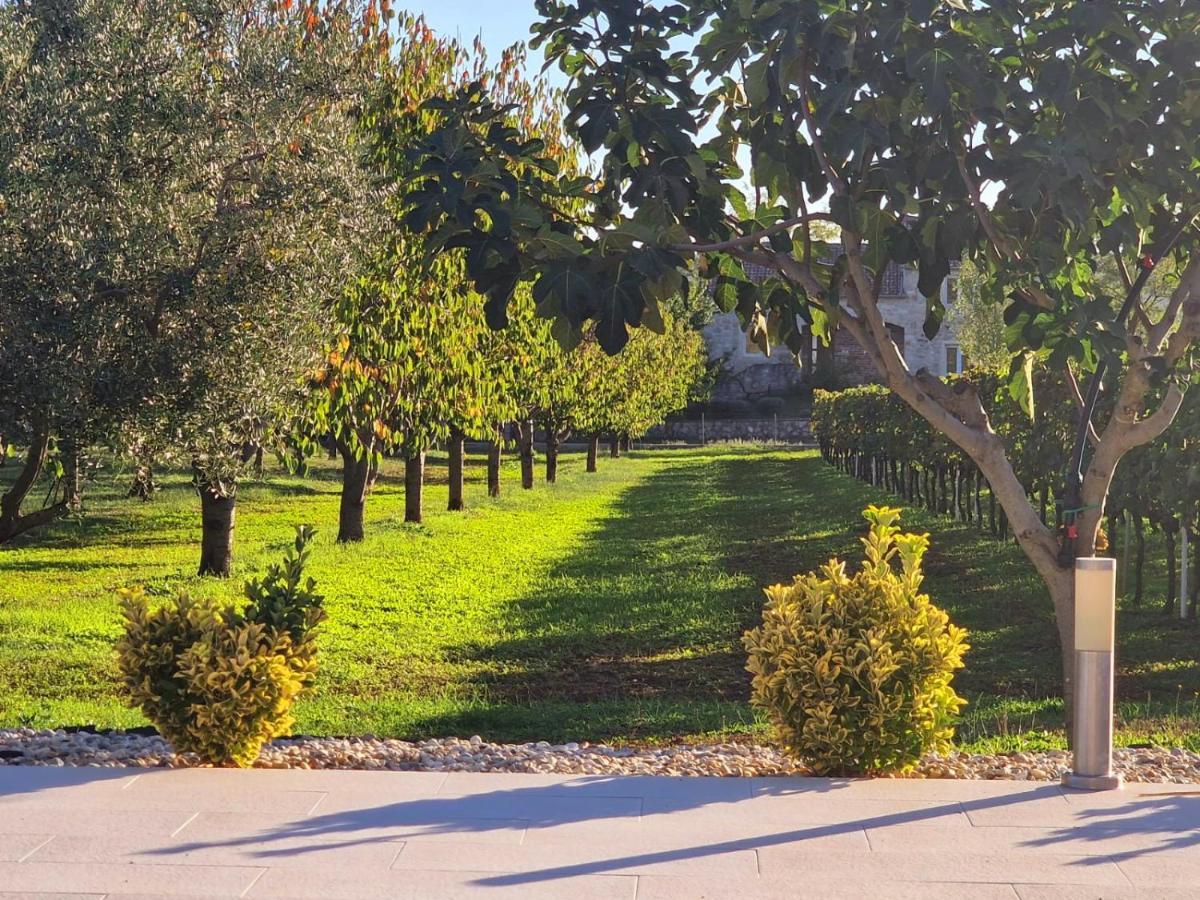 Villa Lorema-Pet Friendly On 5000 Sqm Garden,Pool, Jacuzzi, Billiard&Ps5 Sveti Filip i Jakov Exterior photo